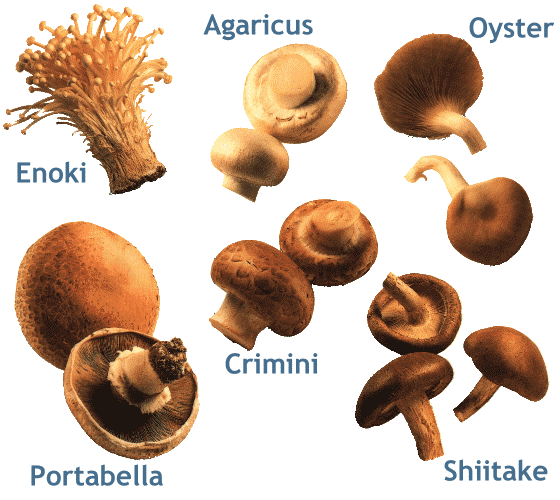 Varieties of Mushrooms